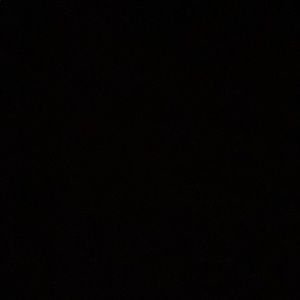 Meet your Posher, Lily